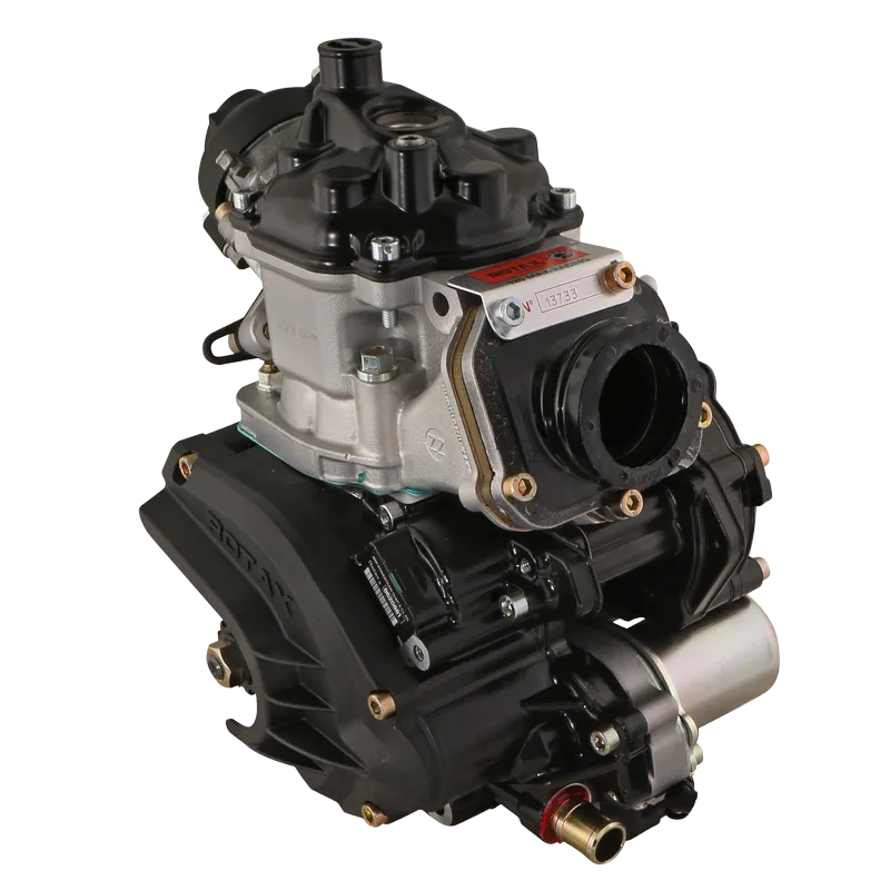 ROTAX 125 Max EVO