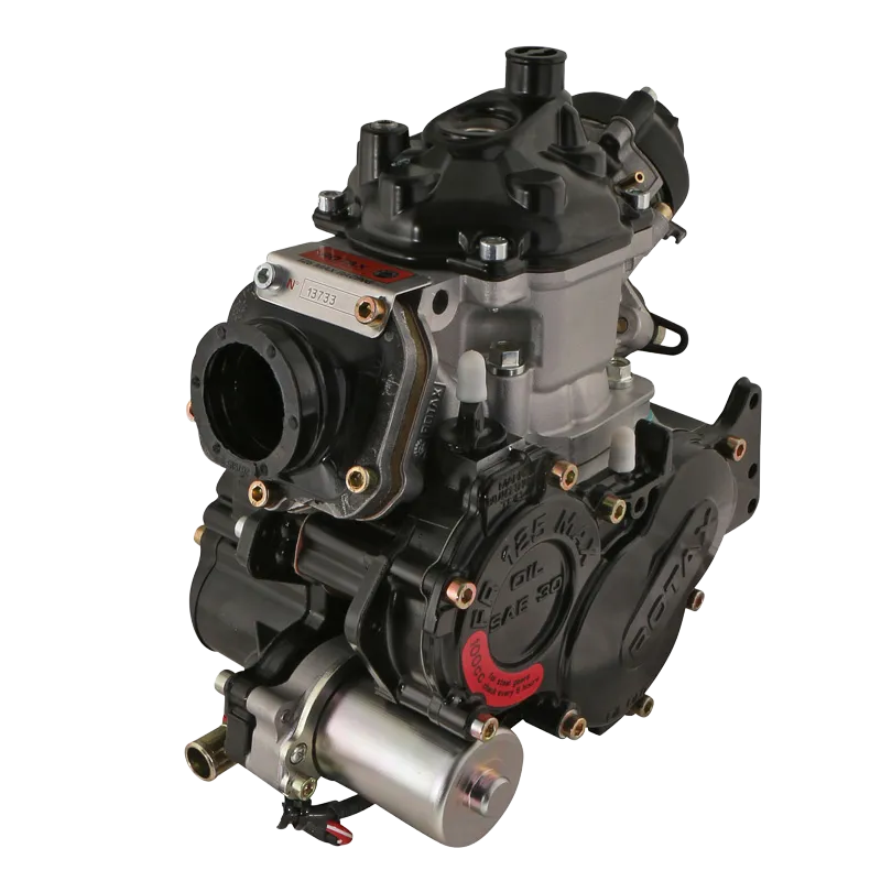 ROTAX 125 Max EVO